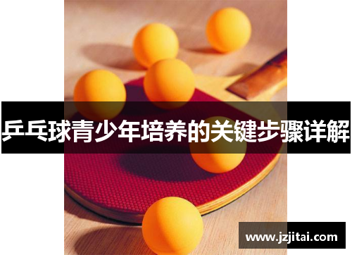 乒乓球青少年培养的关键步骤详解